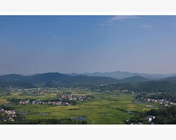 MT4帮助功能入口查询与使用技巧详解