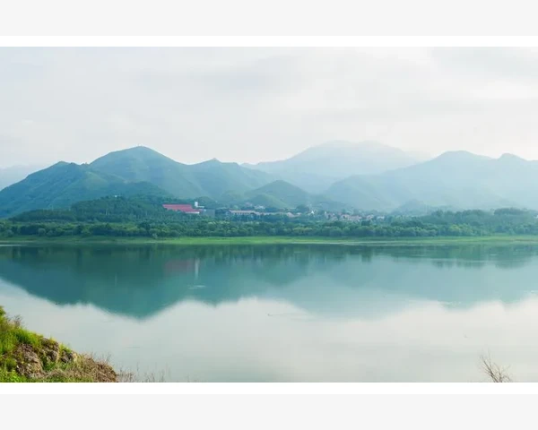MT4图表趋势线绘制操作全流程实录