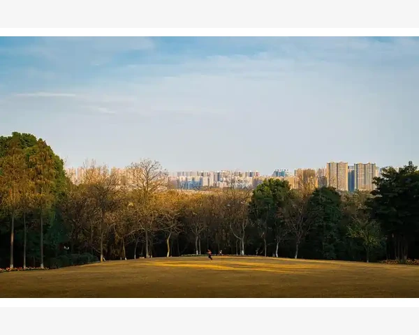 MT4画线模板一键同步所有图表技巧